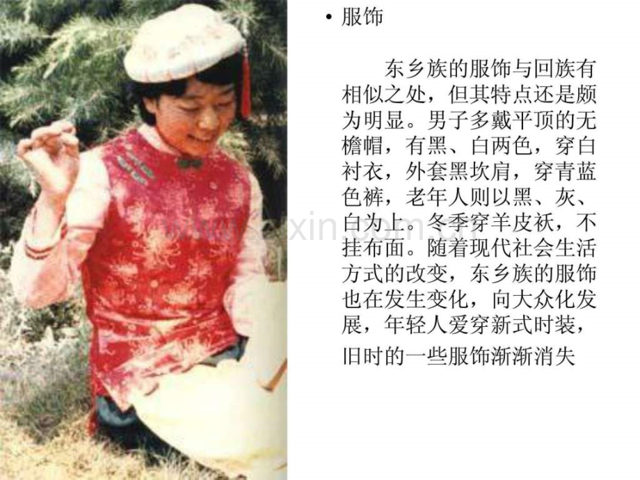 个民族服饰图5.pptx_第1页