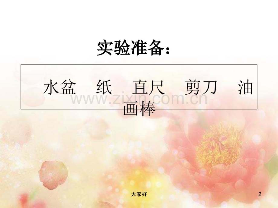 会开放的纸花.ppt_第2页
