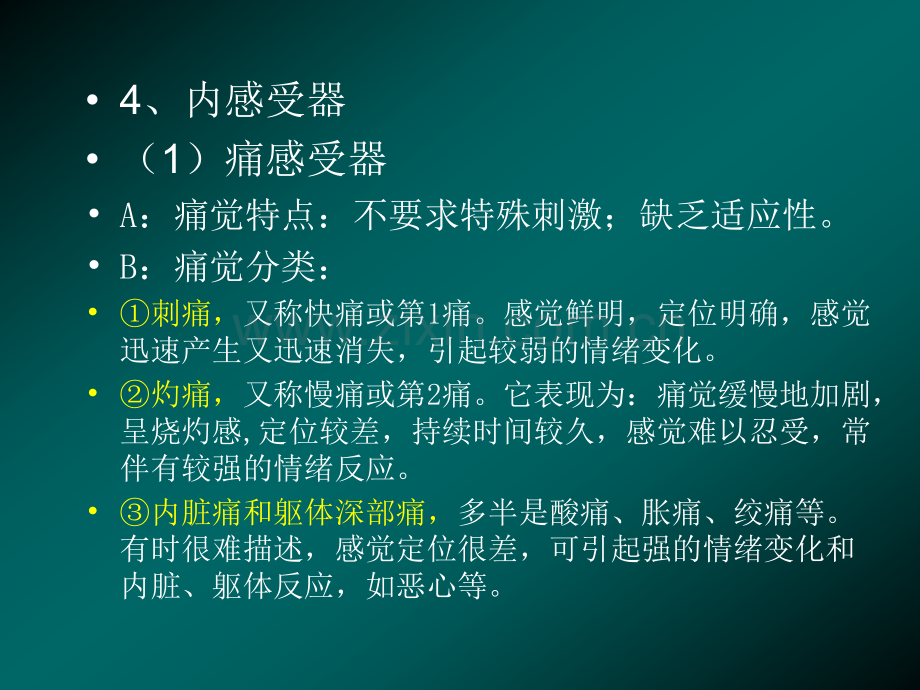 犬的行为原理--3.pptx_第2页
