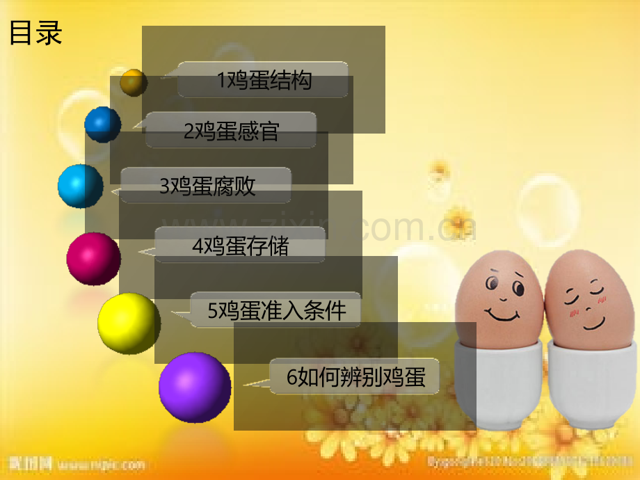鸡蛋知识培训.ppt_第2页