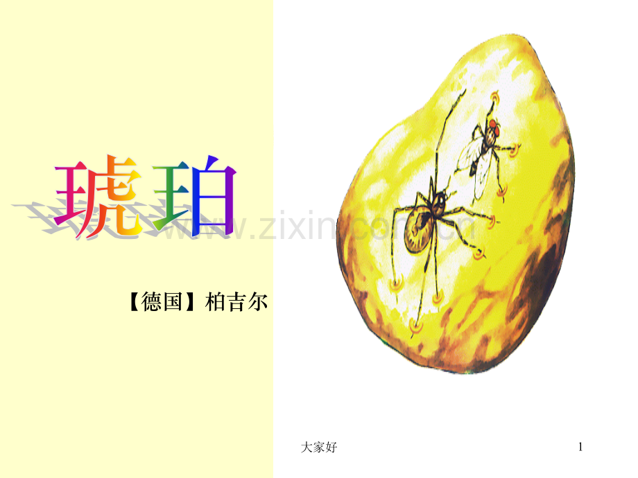 五年级语文《琥珀》课件.ppt_第1页