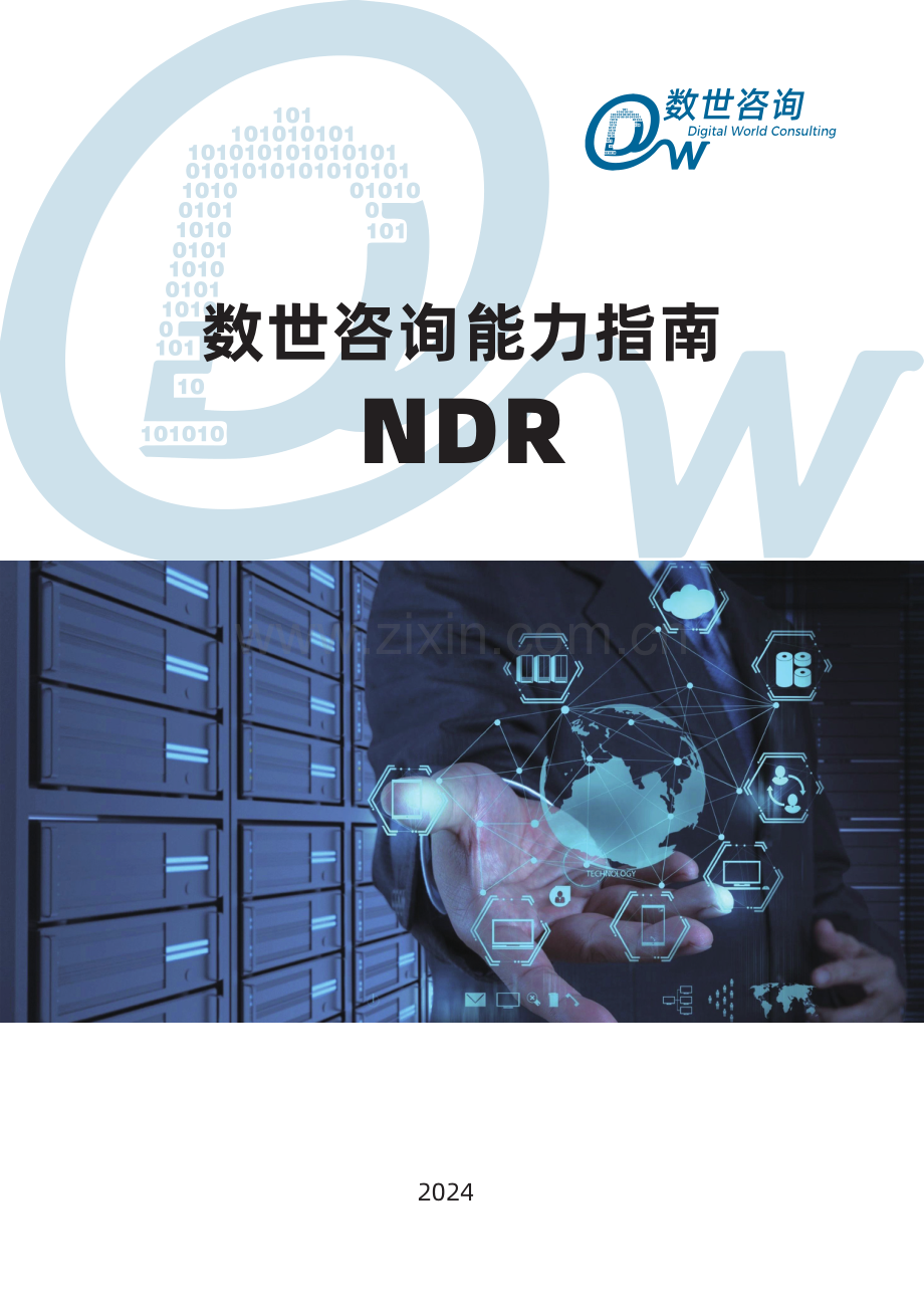 数世咨询能力指南.pdf_第1页