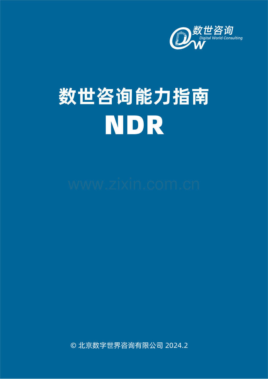 数世咨询能力指南.pdf_第2页