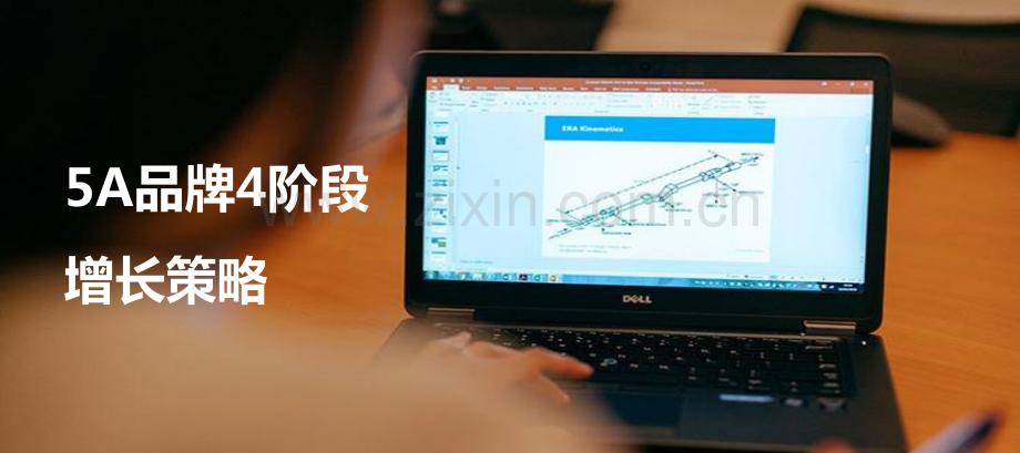 5A品牌4阶段增长策略.pdf_第1页