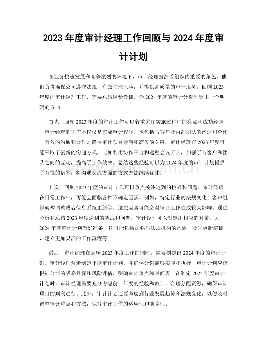 2023年度审计经理工作回顾与2024年度审计计划.docx_第1页