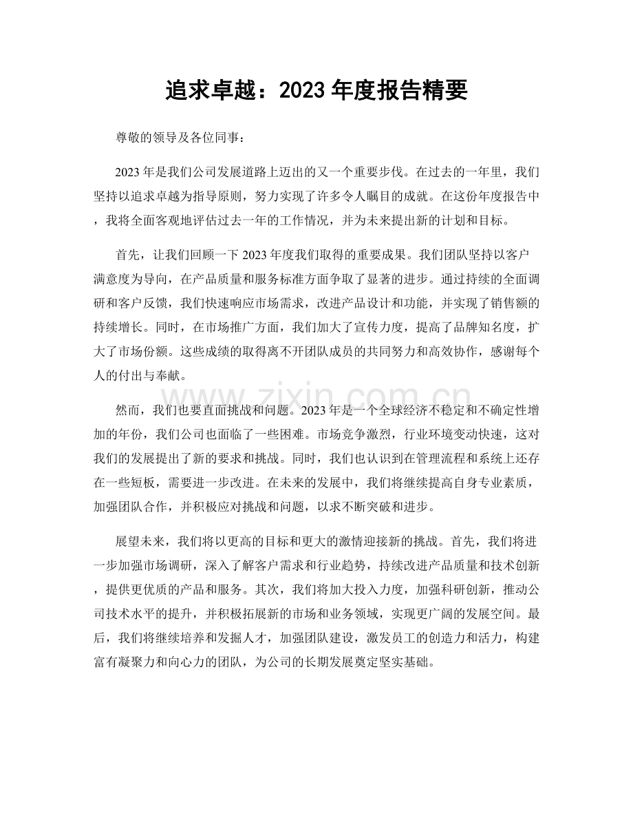 追求卓越：2023年度报告精要.docx_第1页