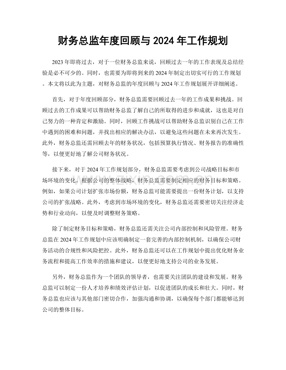 财务总监年度回顾与2024年工作规划.docx_第1页