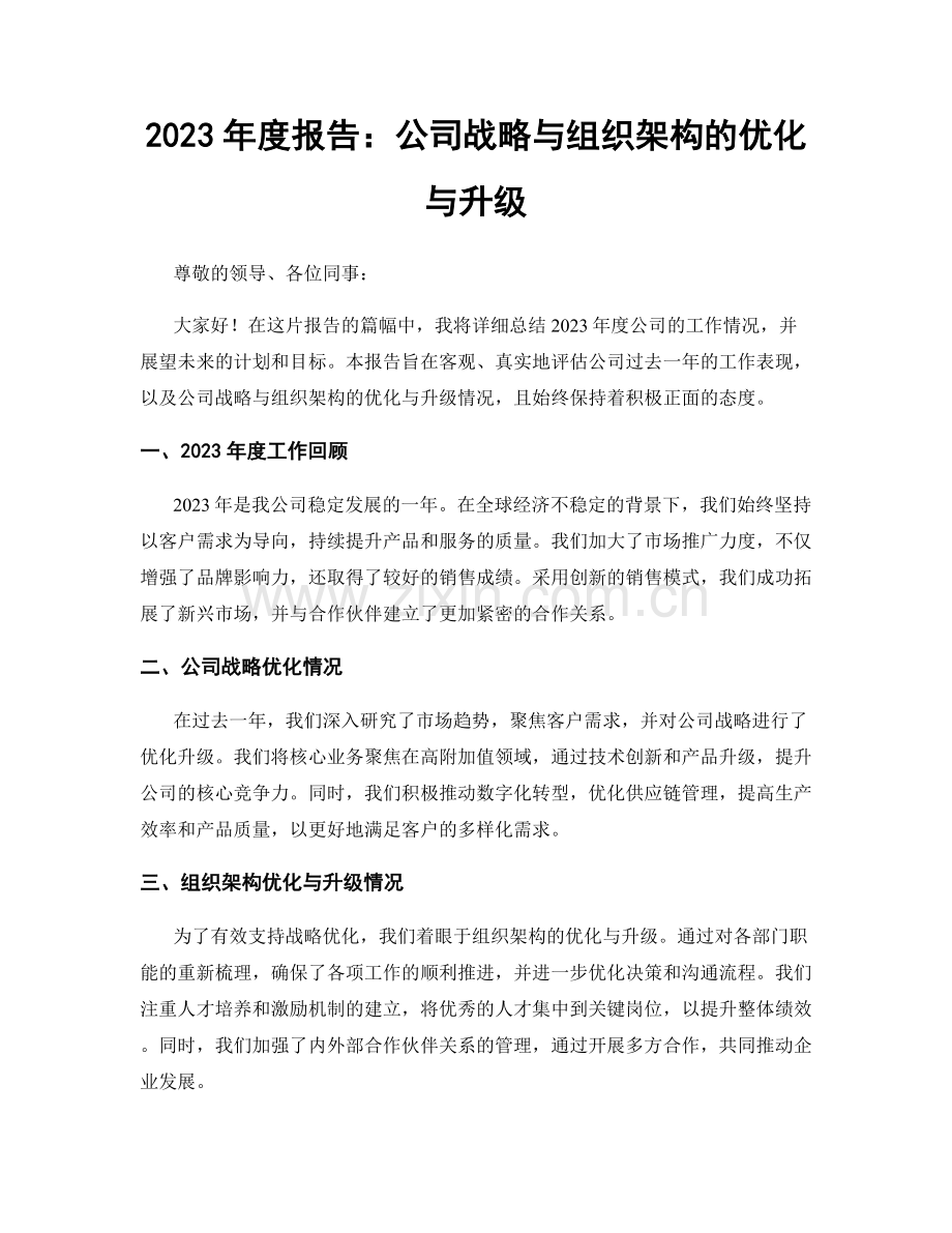 2023年度报告：公司战略与组织架构的优化与升级.docx_第1页