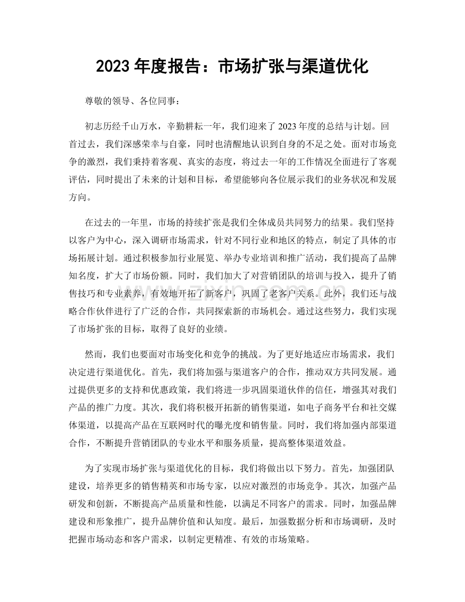 2023年度报告：市场扩张与渠道优化.docx_第1页
