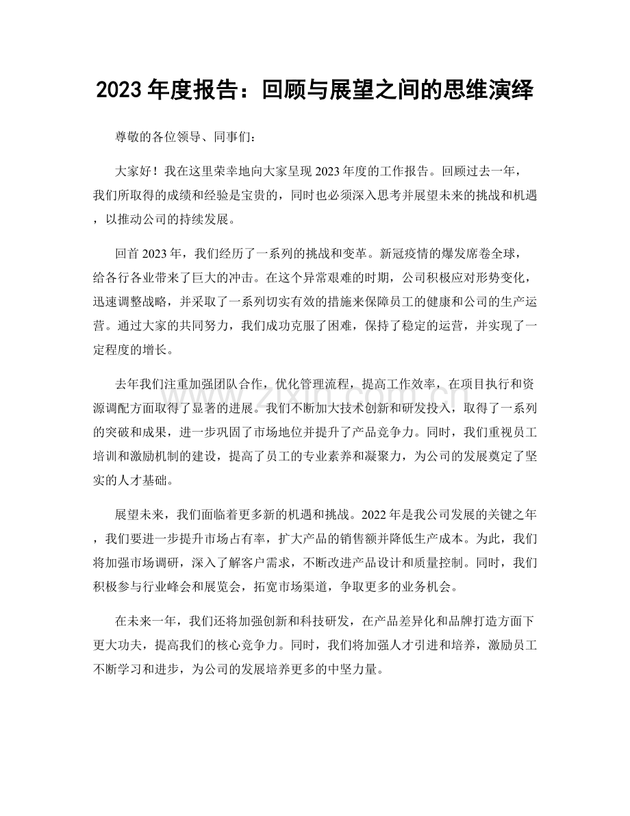 2023年度报告：回顾与展望之间的思维演绎.docx_第1页