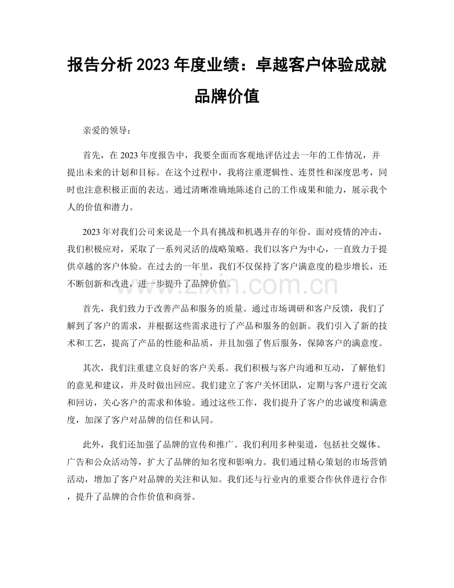 报告分析2023年度业绩：卓越客户体验成就品牌价值.docx_第1页
