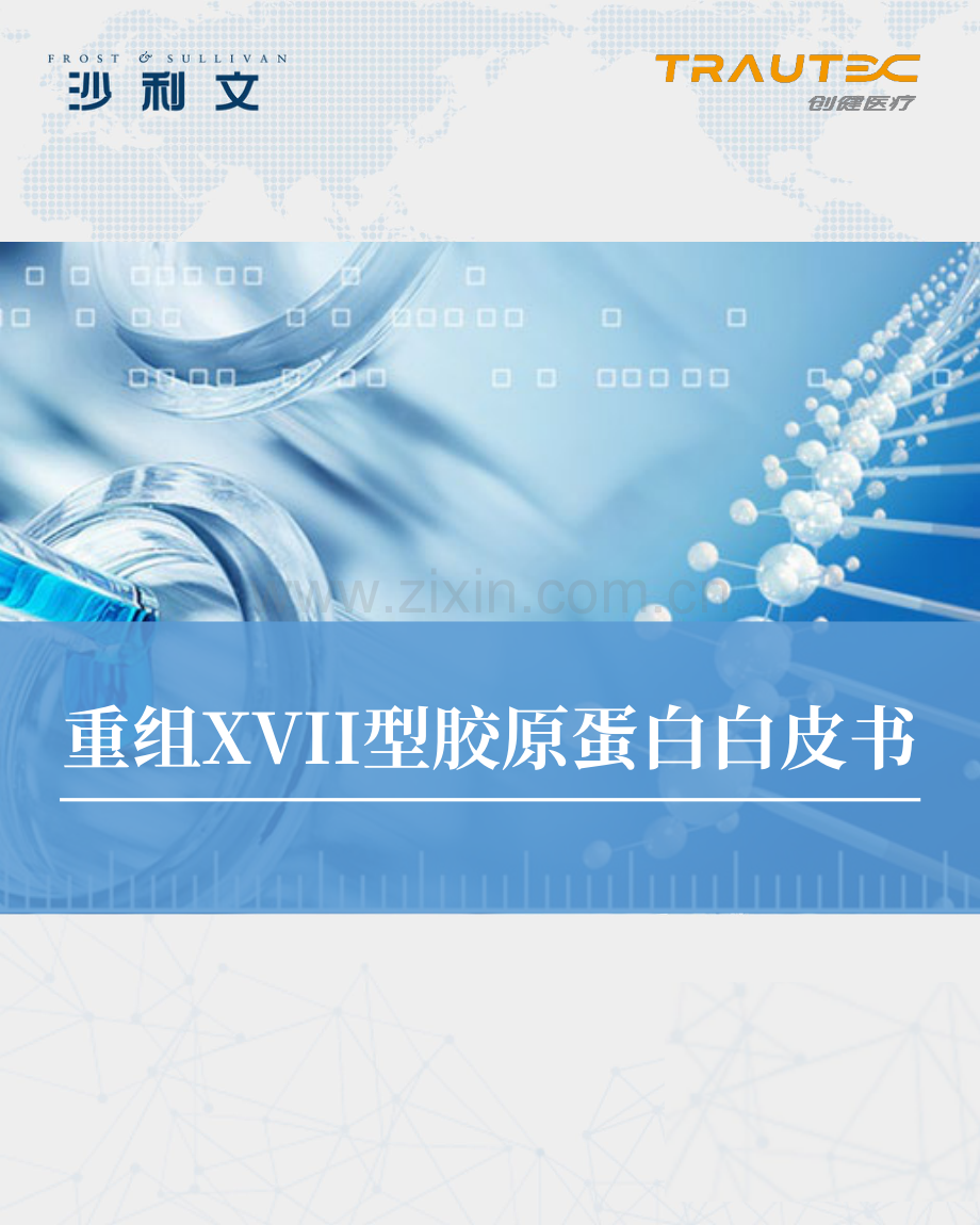 重组XVII型胶原蛋白白皮书.pdf_第1页