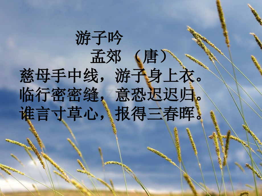 人教版五年级《慈母情深》.ppt_第1页