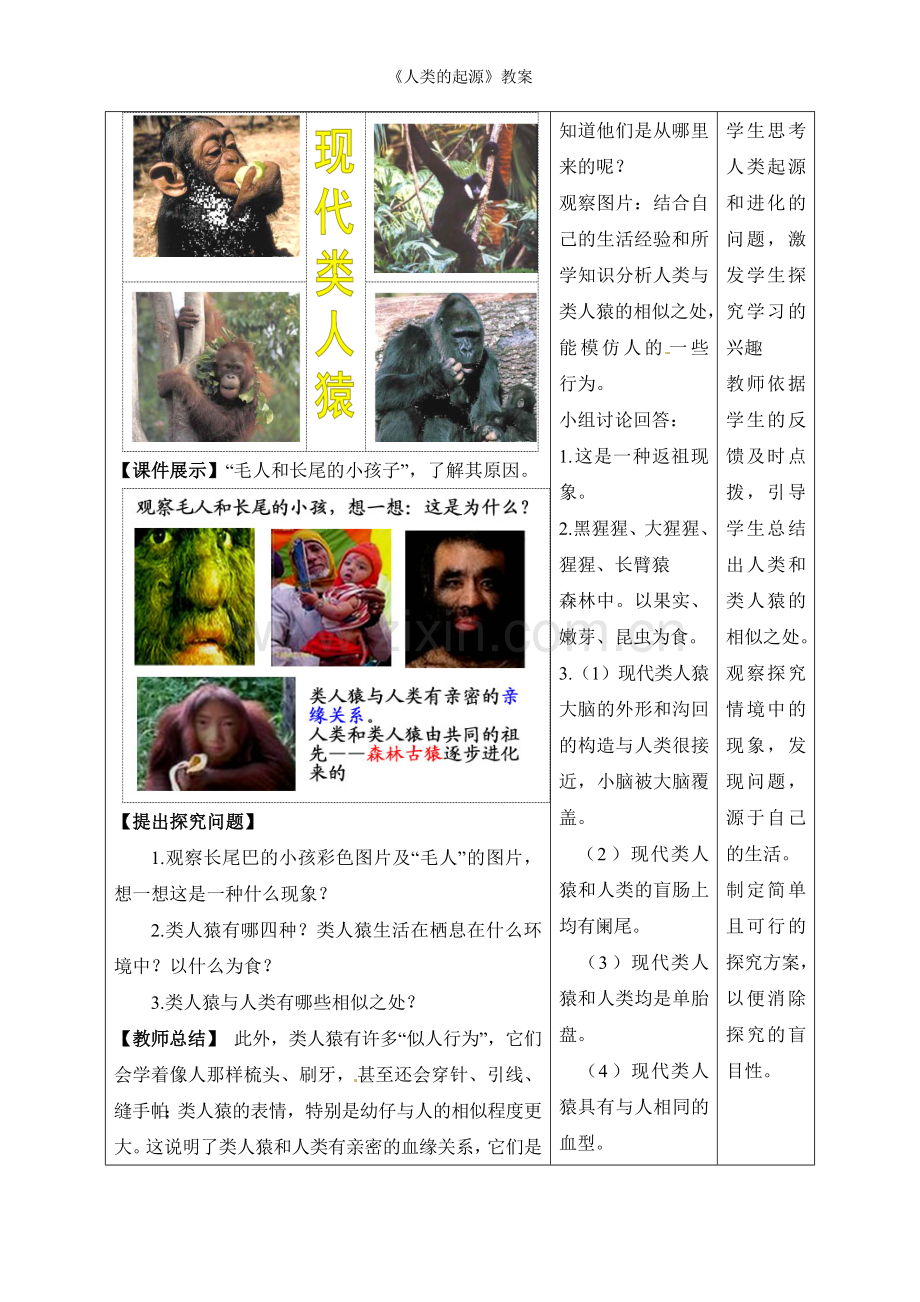 《人类的起源》教案.doc_第2页