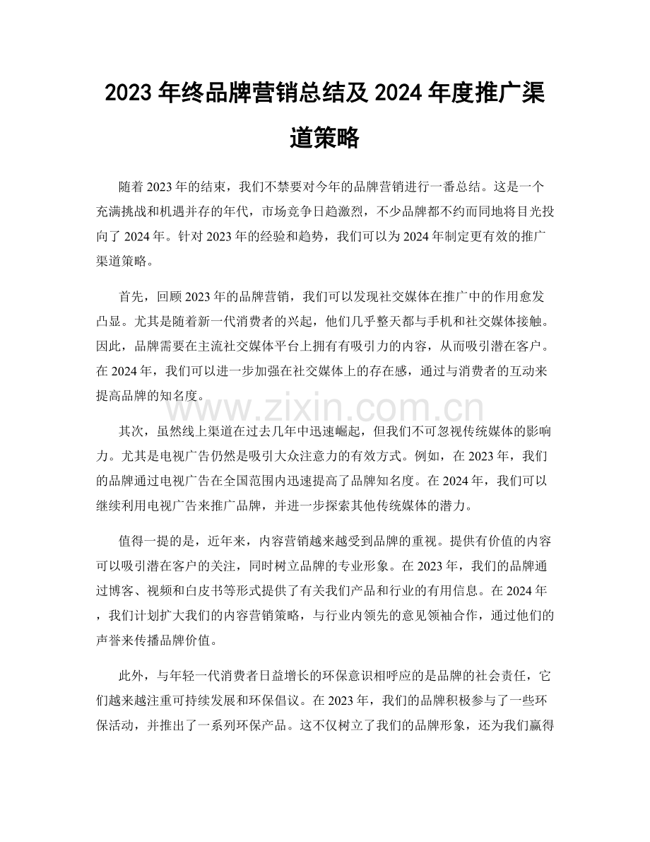 2023年终品牌营销总结及2024年度推广渠道策略.docx_第1页