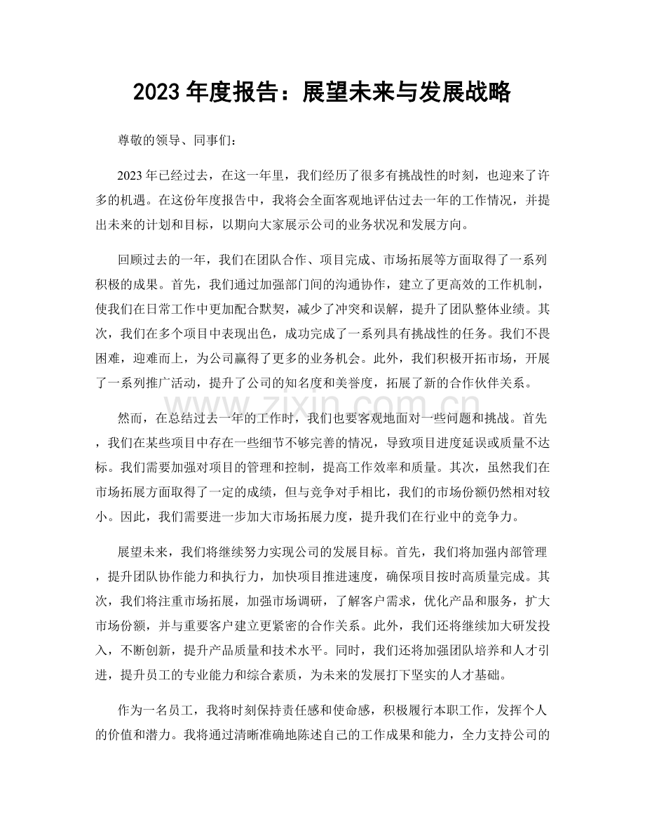 2023年度报告：展望未来与发展战略.docx_第1页