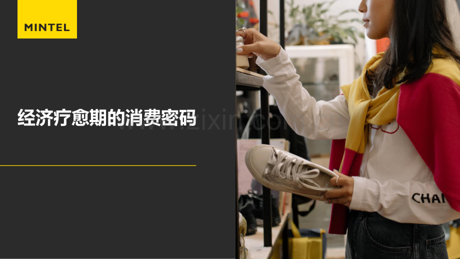 经济疗愈期的消费密码.pdf_第1页