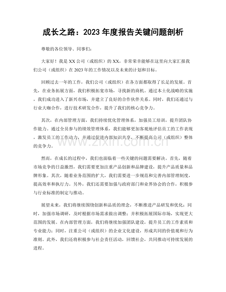 成长之路：2023年度报告关键问题剖析.docx_第1页