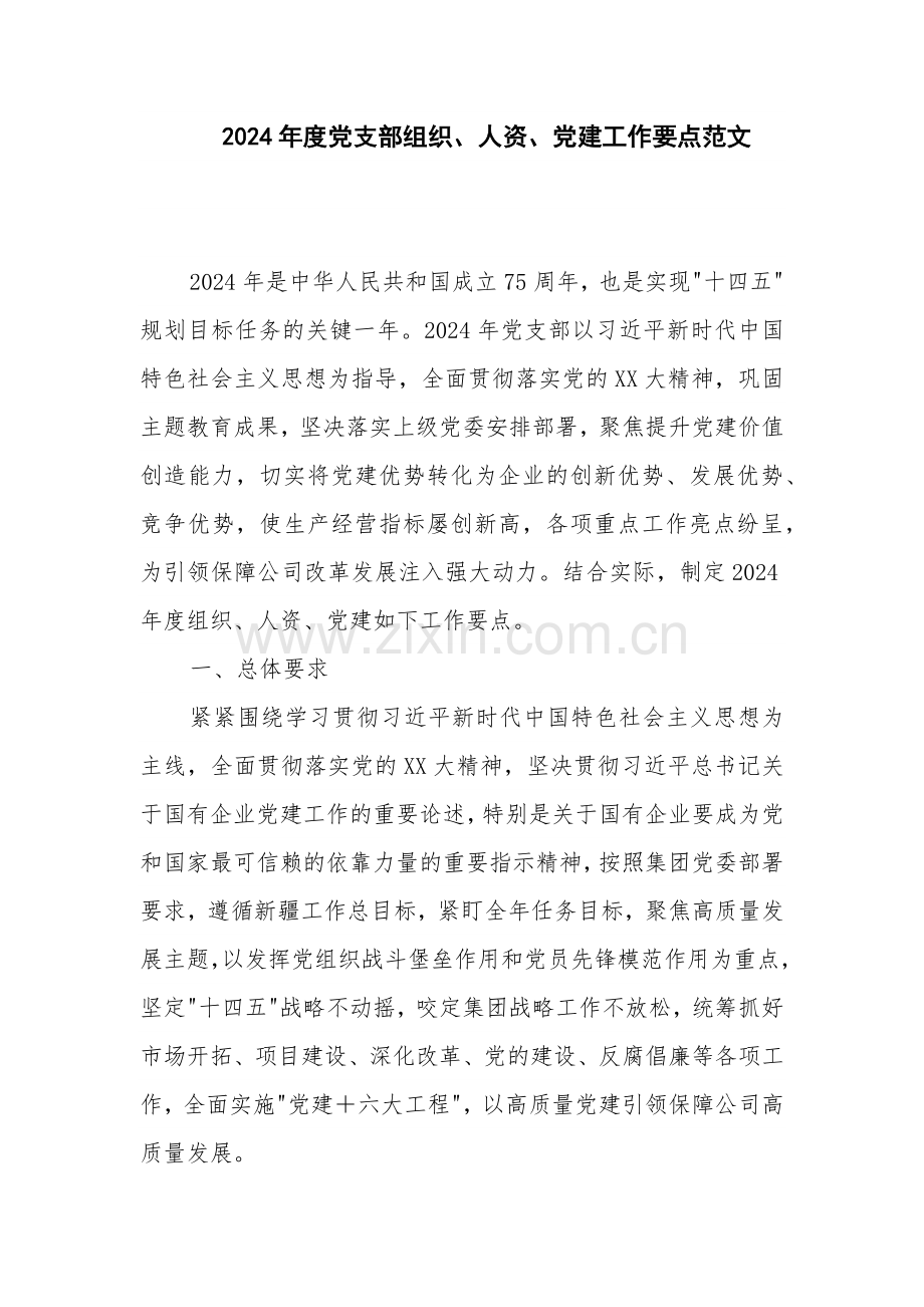 2024年度党支部组织、人资、党建工作要点范文.docx_第1页