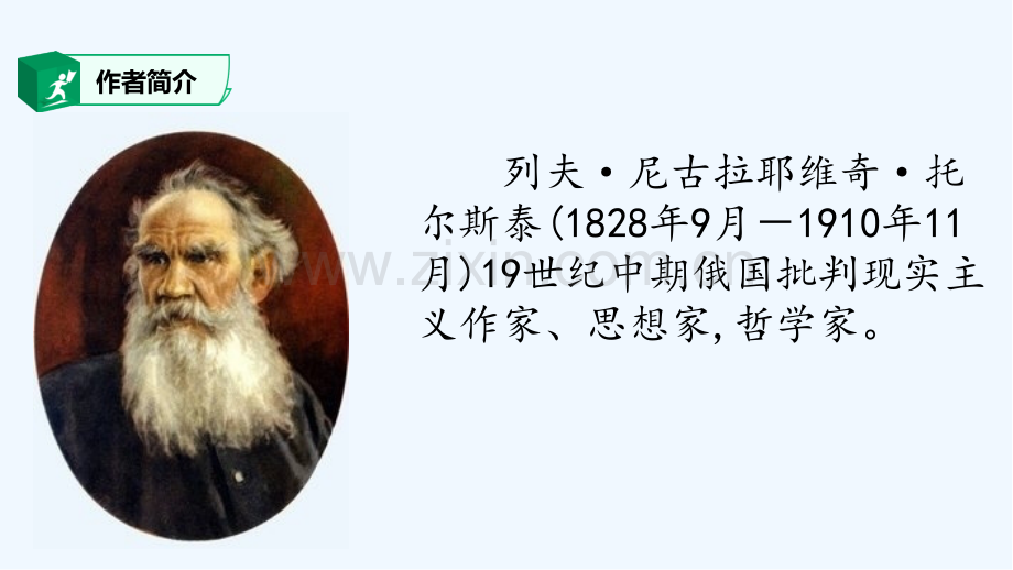 《跳水》课件-PPT.pptx_第2页