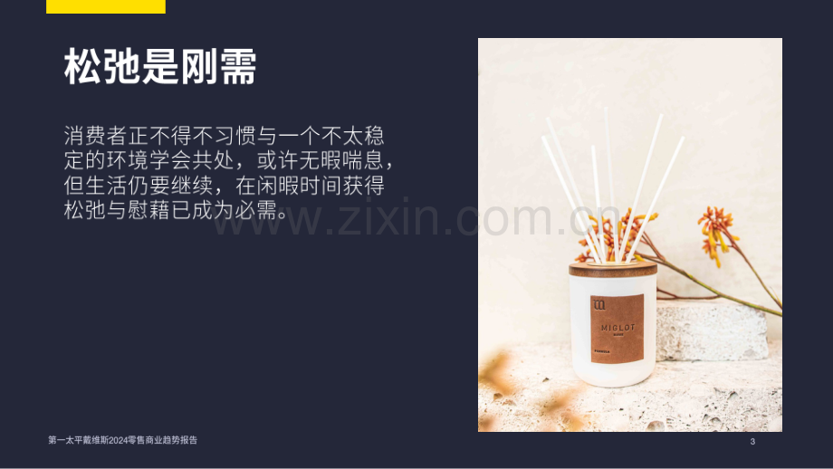 2024中国零售商业趋势.pdf_第2页