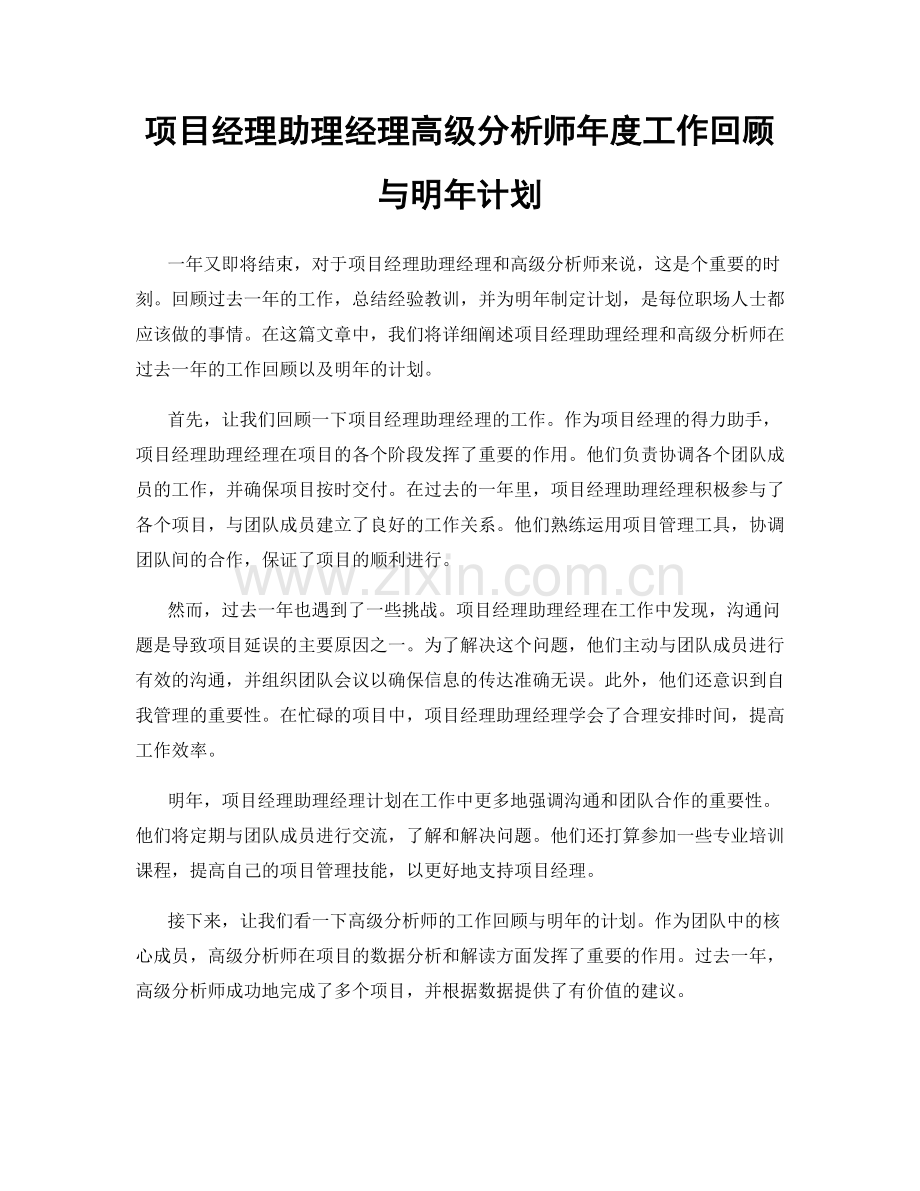 项目经理助理经理高级分析师年度工作回顾与明年计划.docx_第1页