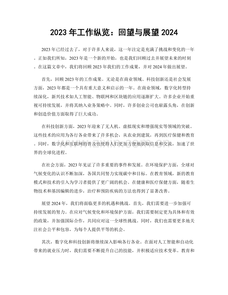 2023年工作纵览：回望与展望2024.docx_第1页