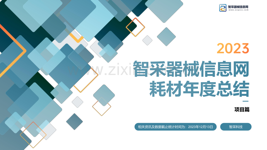 2023智采器械信息网耗材年度总结-项目篇.pdf_第1页