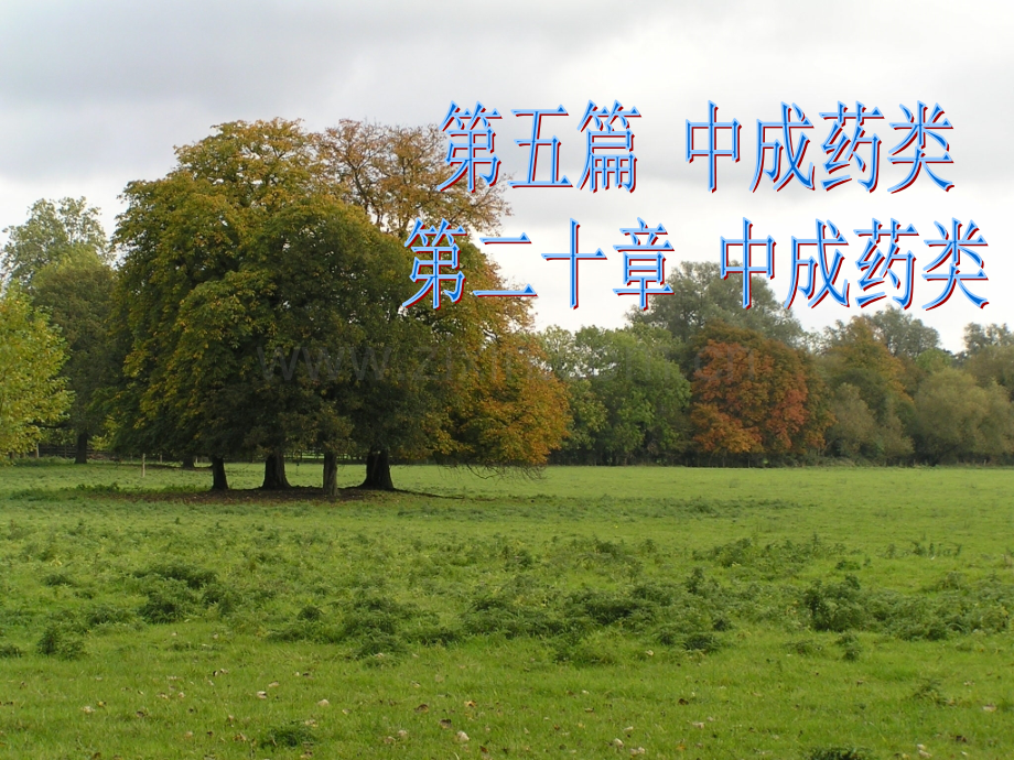 20章-中成药.pptx_第1页