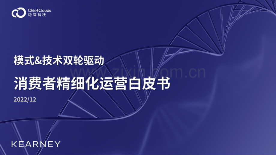 科尔尼：模式&技术双轮驱动.pdf_第1页