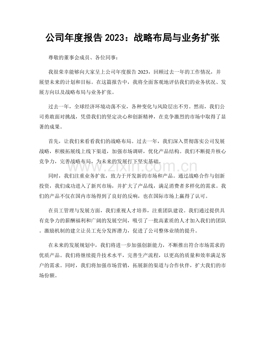 公司年度报告2023：战略布局与业务扩张.docx_第1页