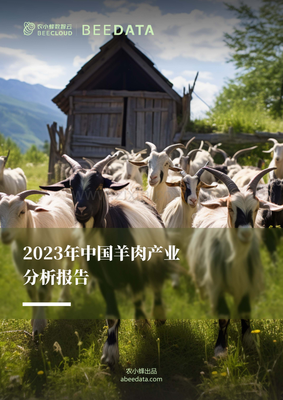 2023年中国羊肉产业分析简报.pdf_第1页