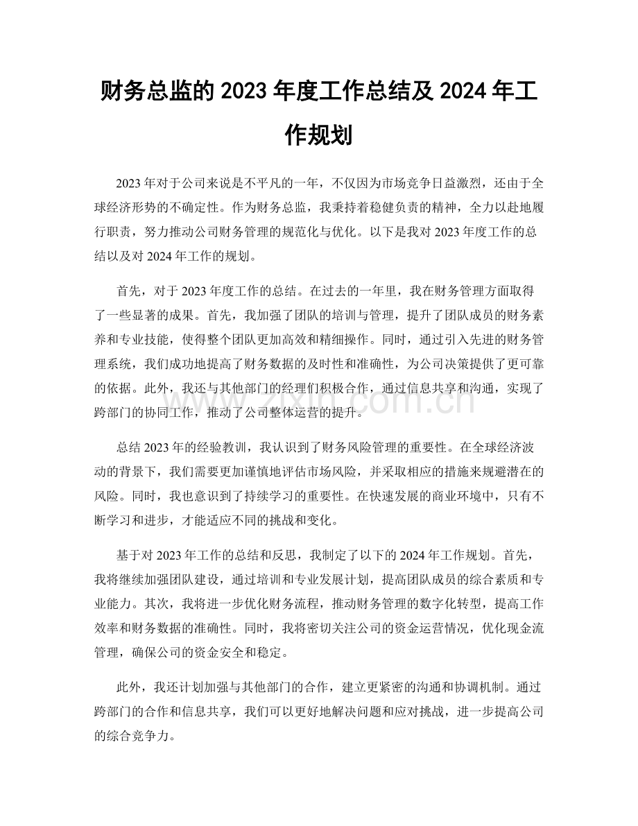 财务总监的2023年度工作总结及2024年工作规划.docx_第1页