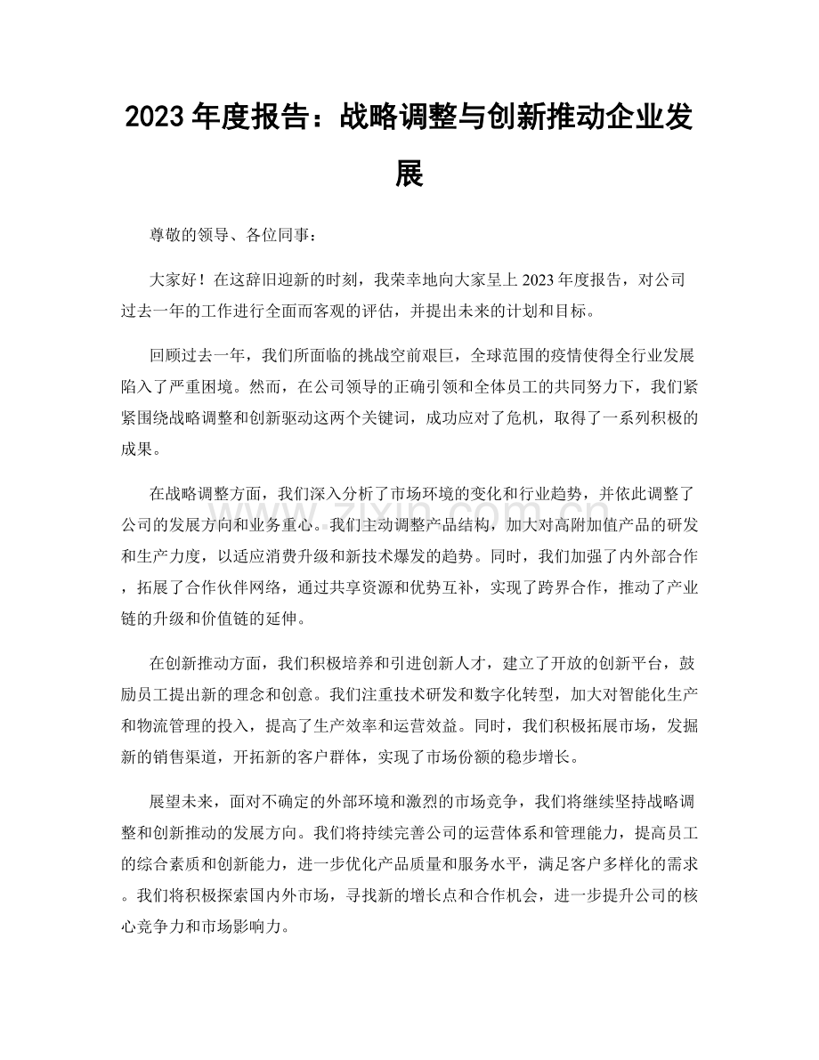 2023年度报告：战略调整与创新推动企业发展.docx_第1页
