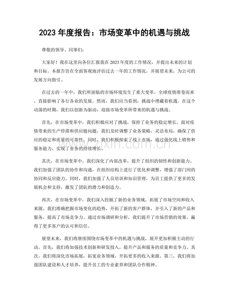 2023年度报告：市场变革中的机遇与挑战.docx_第1页