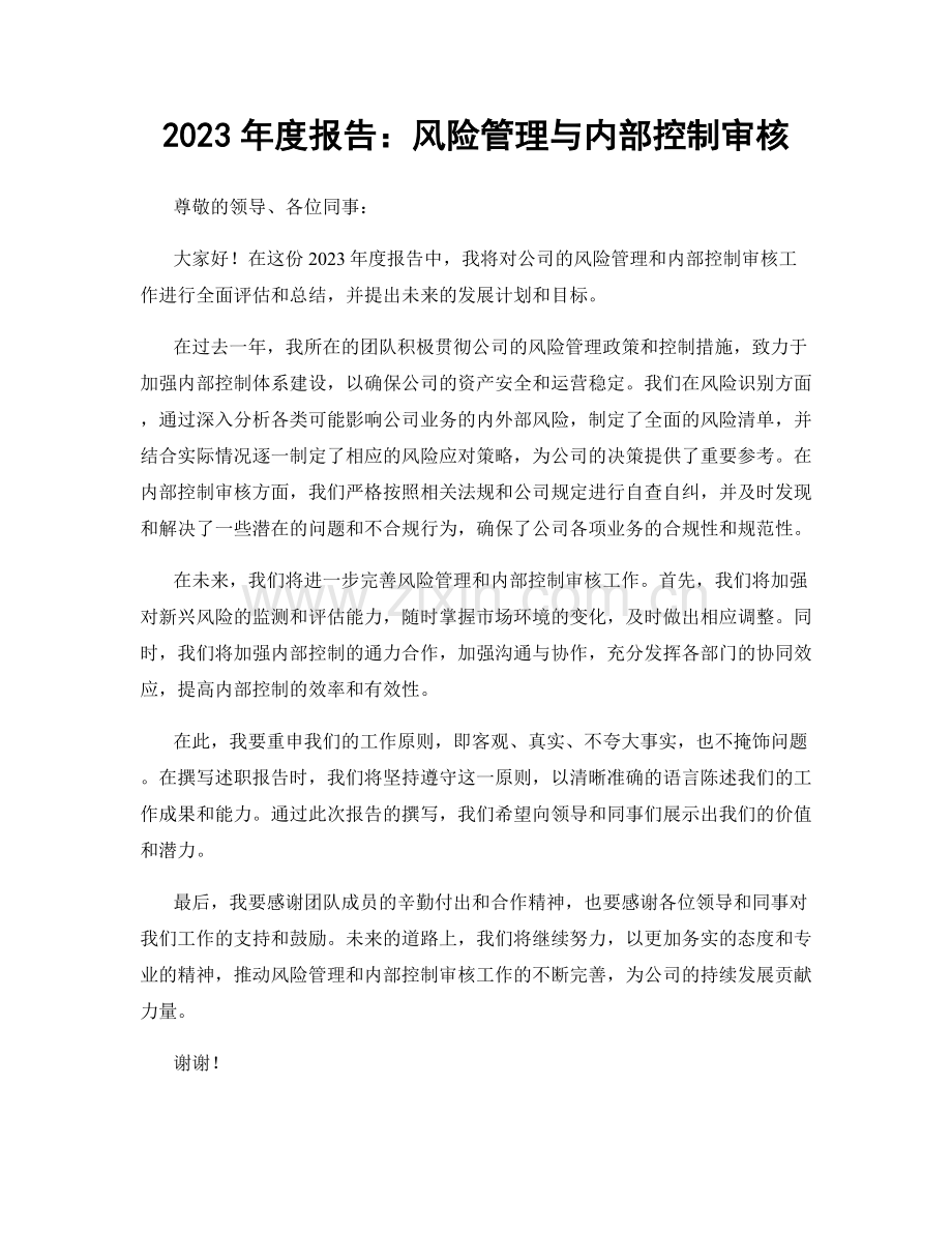 2023年度报告：风险管理与内部控制审核.docx_第1页