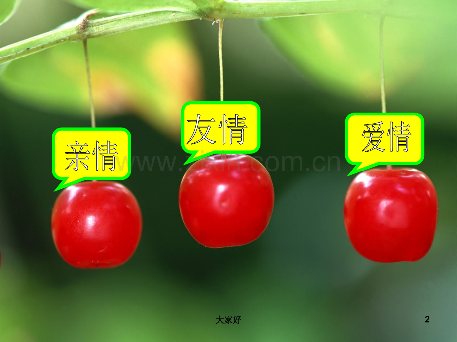 “亲情、友情、爱情”主题班会课件.ppt_第2页