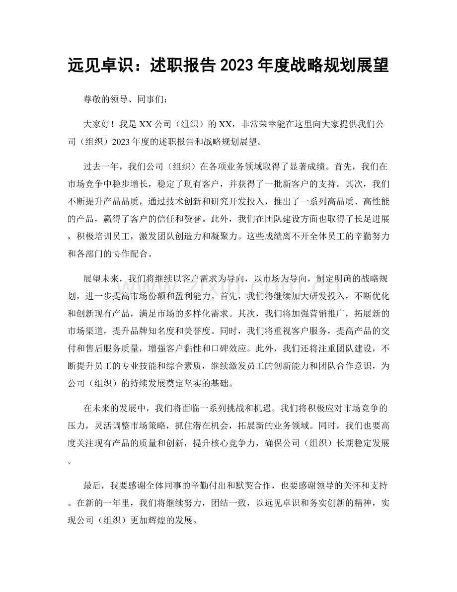 远见卓识：述职报告2023年度战略规划展望.docx_第1页