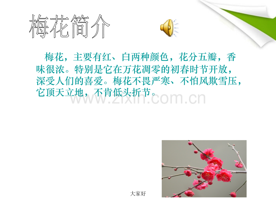 五年级语文上册-梅花魂课件-人教新课标版.ppt_第1页