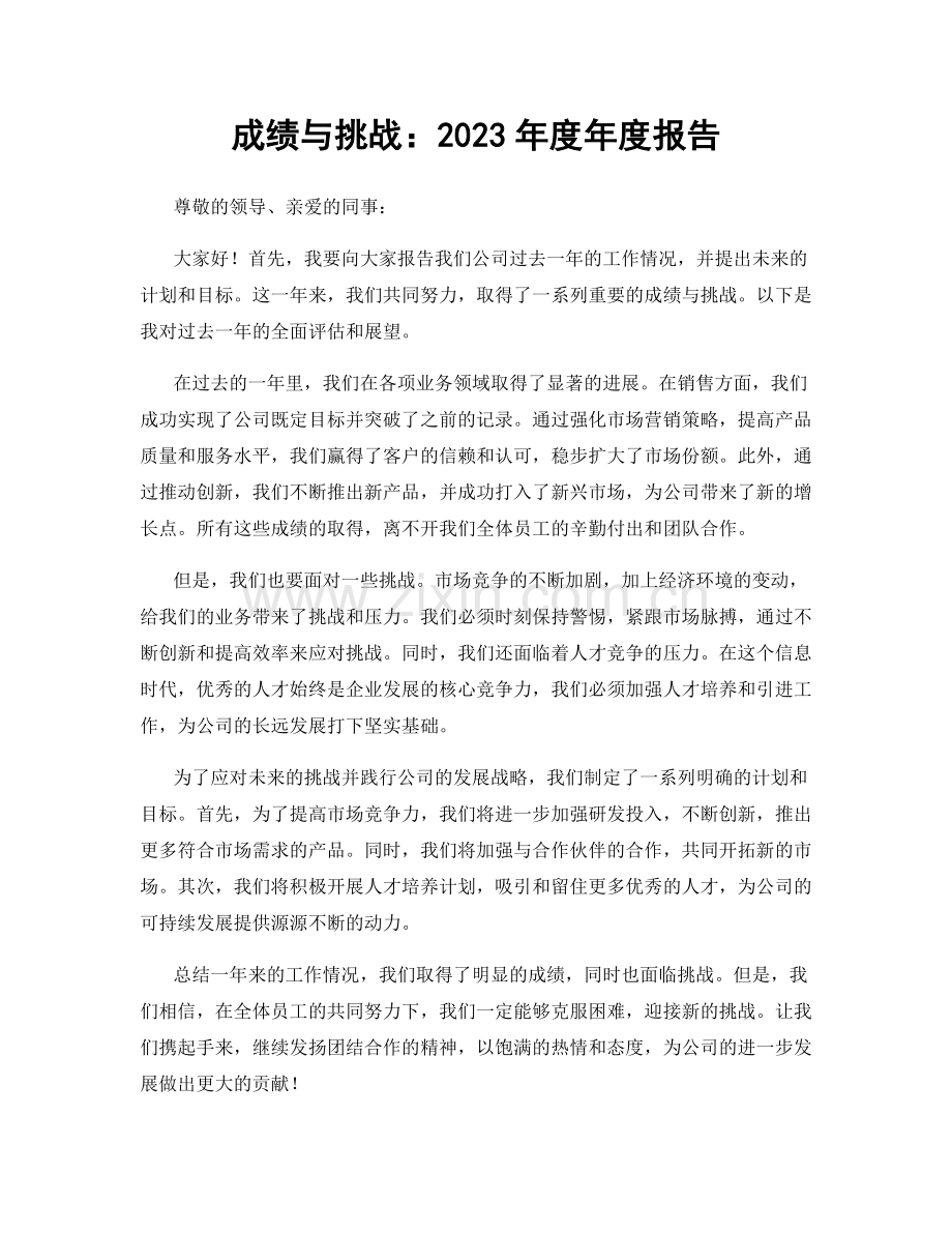 成绩与挑战：2023年度年度报告.docx_第1页
