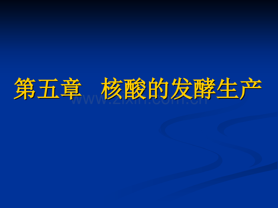 核酸发酵.pptx_第1页