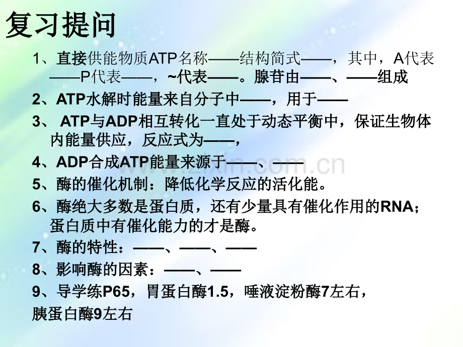 人教版高中生物必修一5-PPT.3呼吸作用.ppt_第1页