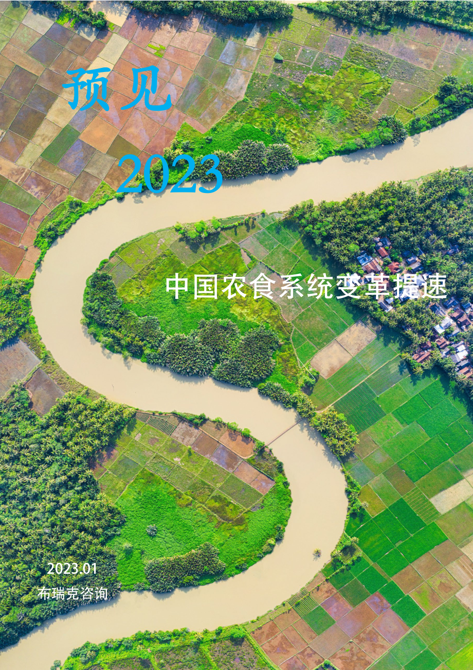 预见2023：中国农业趋势观察.pdf_第1页