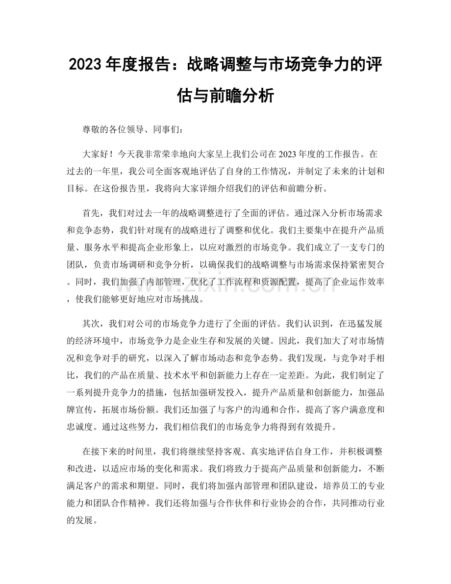 2023年度报告：战略调整与市场竞争力的评估与前瞻分析.docx_第1页