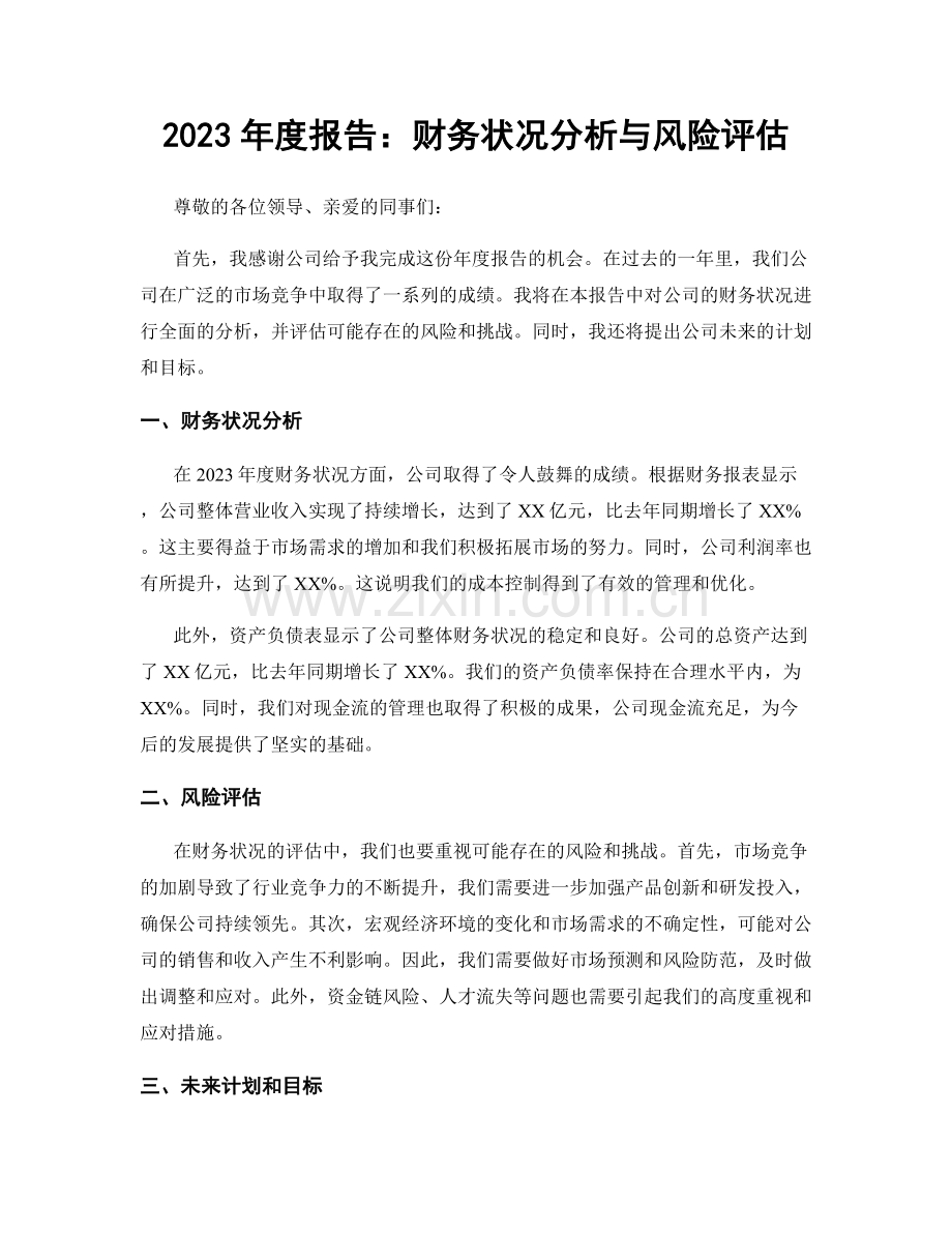 2023年度报告：财务状况分析与风险评估.docx_第1页