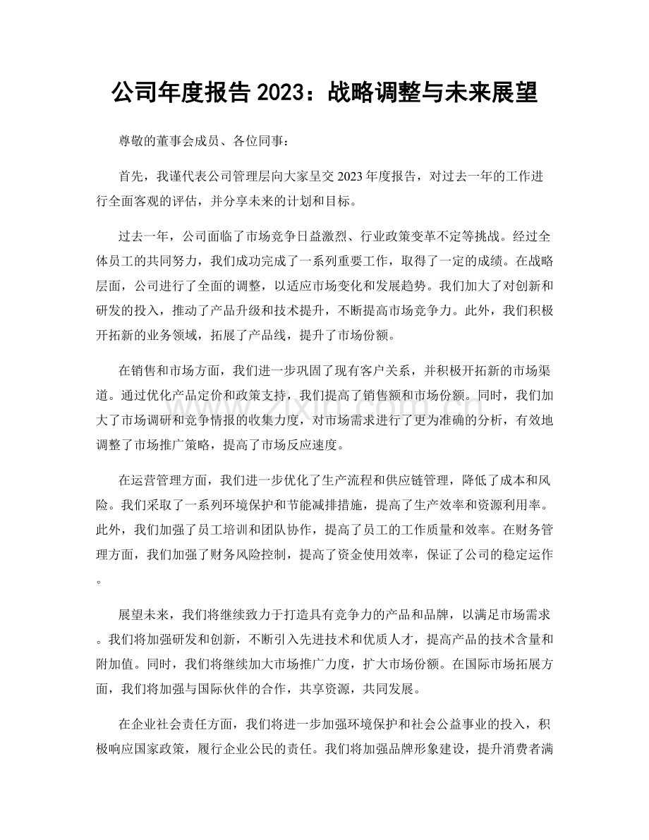 公司年度报告2023：战略调整与未来展望.docx_第1页