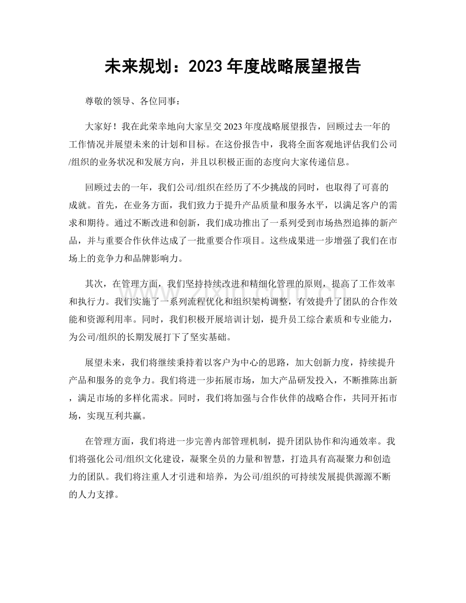 未来规划：2023年度战略展望报告.docx_第1页