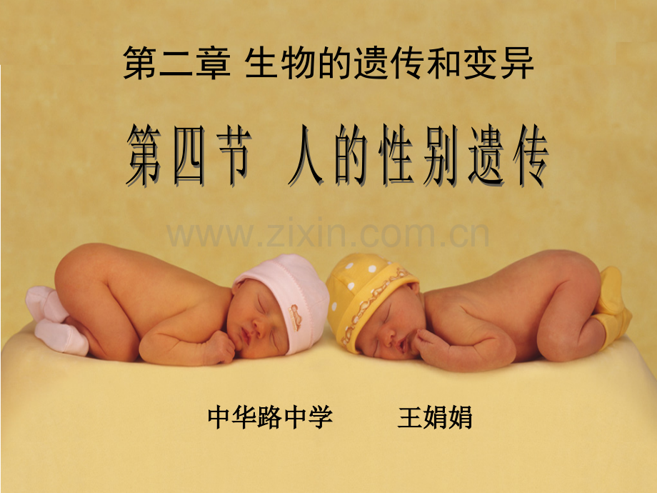 《人的性别遗传》.ppt_第1页