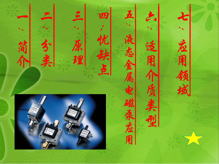 电磁泵工作原理.ppt_第2页