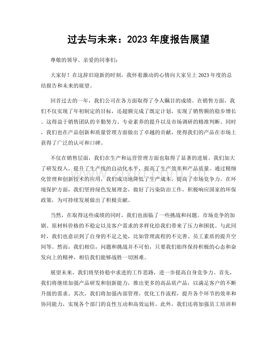 过去与未来：2023年度报告展望.docx_第1页